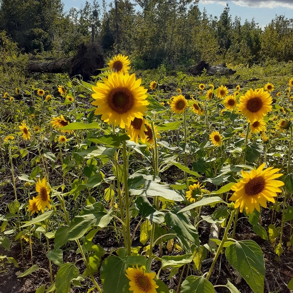 Meet your Posher, Michelle - Picture 6 of 7